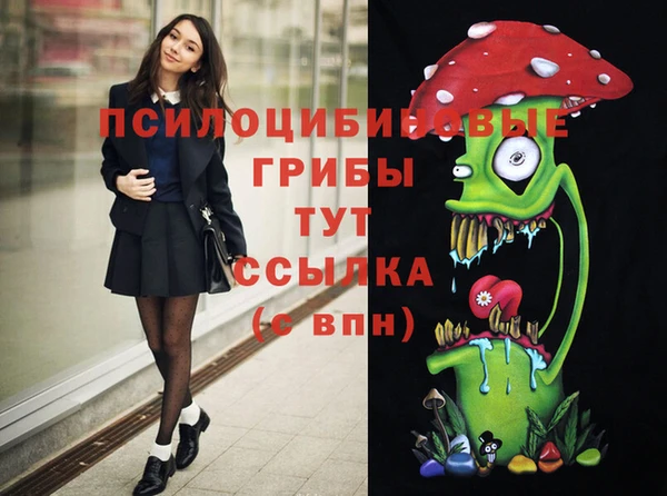 соль ск Фёдоровский